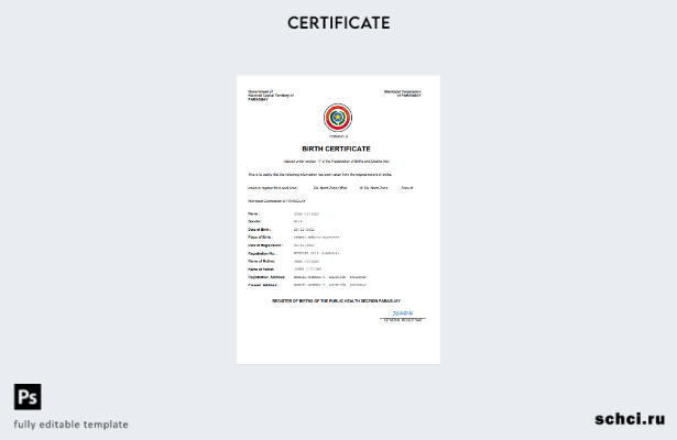 цифровая загрузка свидетельства о рождении в Парагвае, шаблон Word и PDF